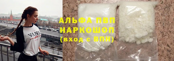 стафф Алзамай