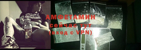 стафф Алзамай