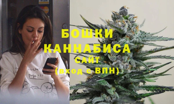 гидра Алексеевка