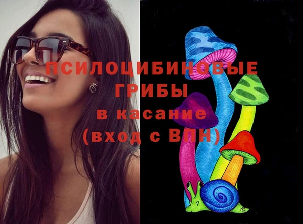 гидра Алексеевка