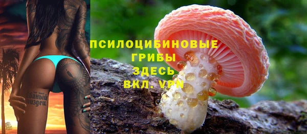 гидра Алексеевка